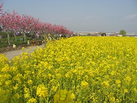 ����₵���t�����[�p�[�N