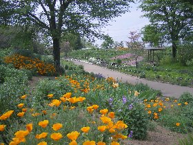 �{���ӂ邳�ƃt�����[�p�[�N