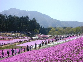 �r�R����