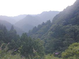 横瀬側からの武川岳